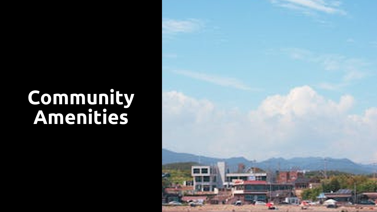 Community Amenities